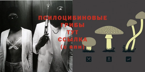 дурь Алексин