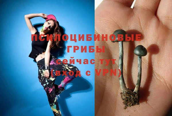 герыч Алзамай