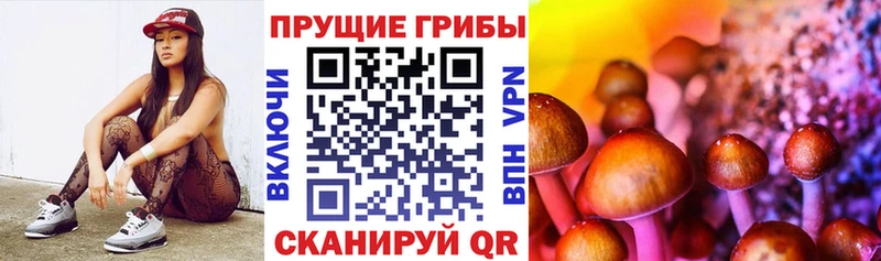 купить закладку  Юрьевец  Псилоцибиновые грибы мухоморы 