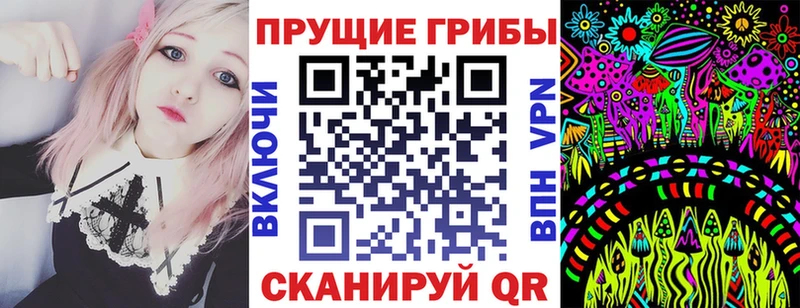 Галлюциногенные грибы Psilocybine cubensis Юрьевец